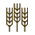 Filter Icon