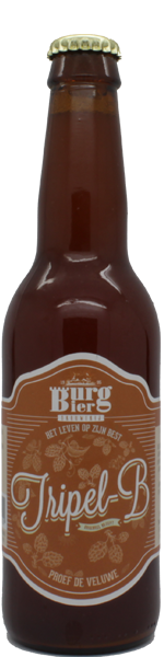 Burg Tripel-B