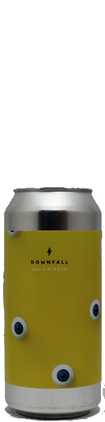 Garage Beer Downfall - blik