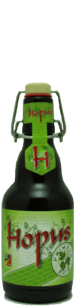 Hopus Primeur 2018