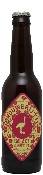 't IJ Galaxy Summer IPA