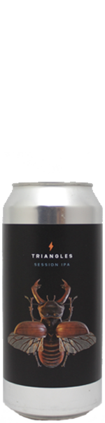 Garage Triangles - session ipa - blik