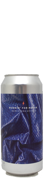 Garage Runnin’ For Mayor - blik