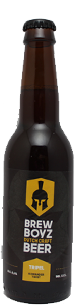 BrewBoyz Stout
