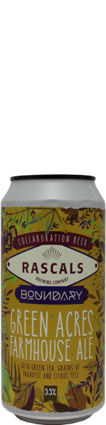 Rascals / Boundary Green Acres - blik