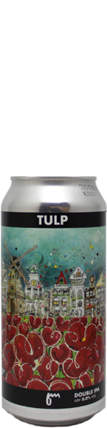  TULP - blik