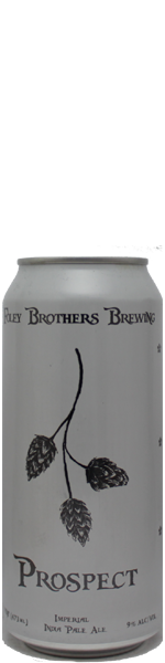 Foley Brothers Prospect - blik
