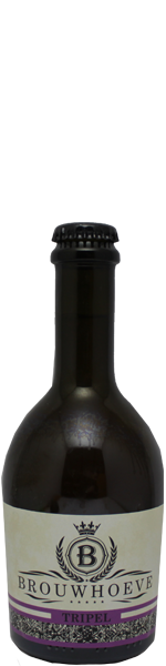  Tripel - blik