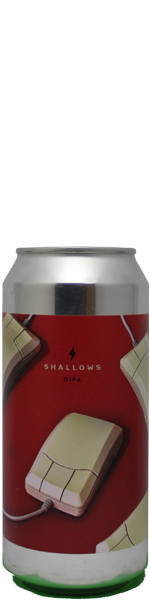 Garage Shallows - blik