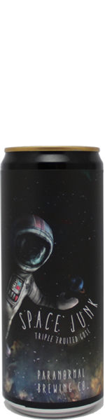 Paranormal Space Junk - blik