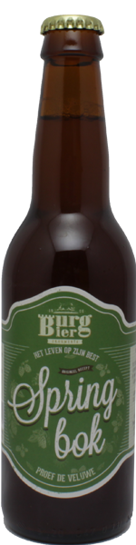 Burg Springbok
