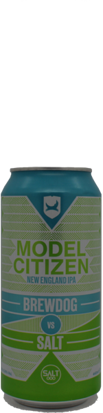 BrewDog / Salt Model Citizen - blik