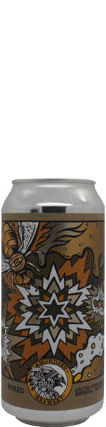 Amundsen Wired - white stout - blik