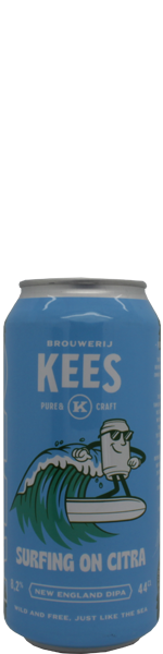 Kees Surfing On Citra - blik