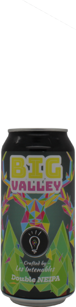 Les Intenables Big Valley - blik
