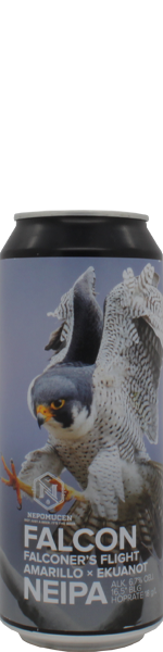 Nepomucen Falcon - blik