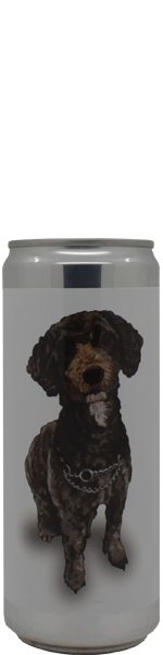 Brewski Sansa - blik