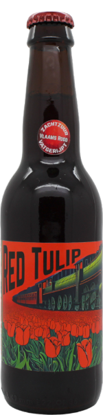  Red Tulip