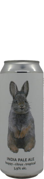 Bevog Extinction Is Forever!: Pygmy Rabbit - blik