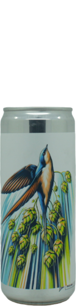 Brewski Swift Haze - blik