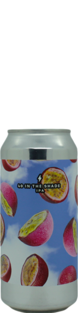 Garage 40 in the Shade