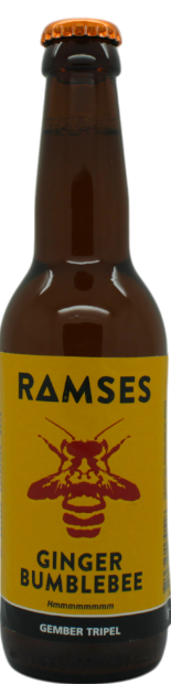 Ramses Ginger Bumblebee