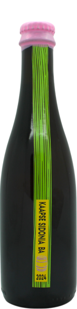 Kaapse Sidonia BA 2024