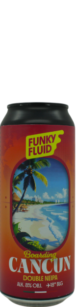 Funky Fluid Boarding: Cancun