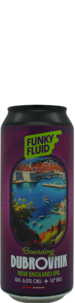 Funky Fluid Boarding: Dubrovnik