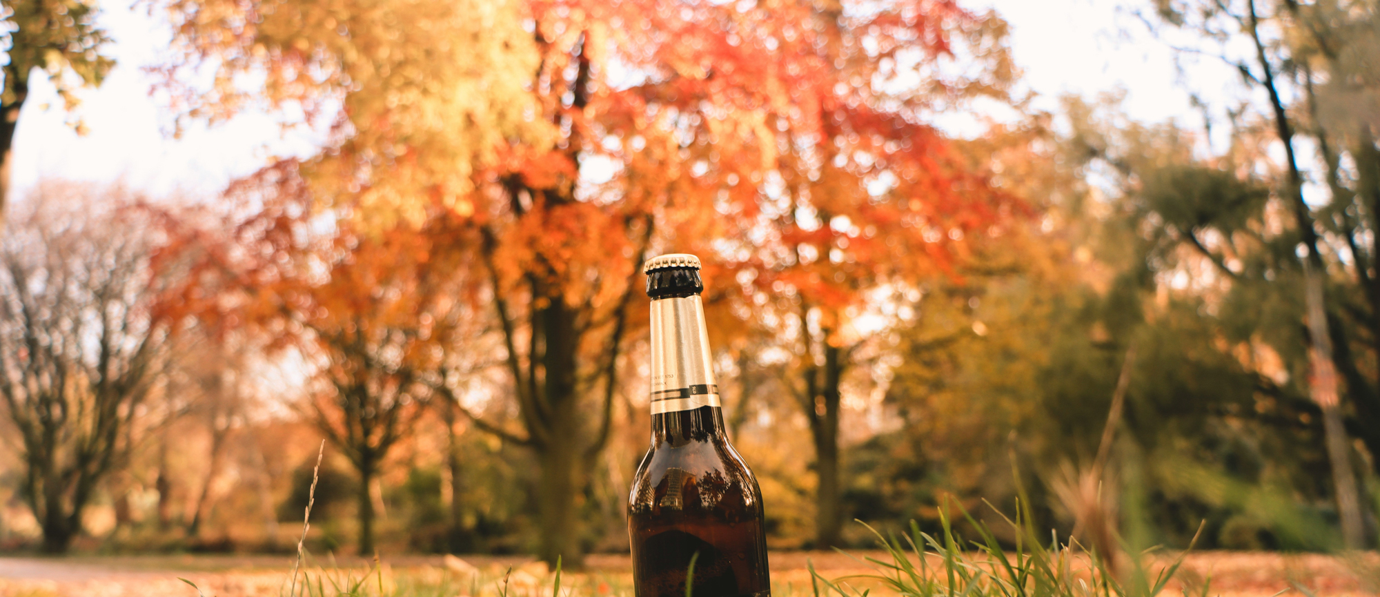 De lekkerste herfstbieren volgens Burg Bieren