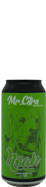  Mr. Citra