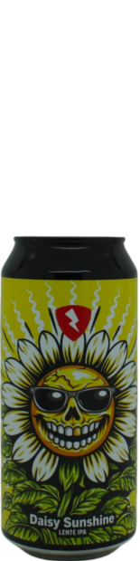 Rock City Daisy Sunshine