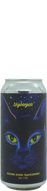 Stigbergets Existens Essens Transcendens