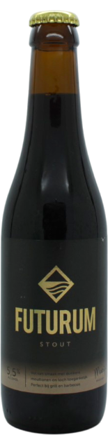 Toekomst Futurum Stout