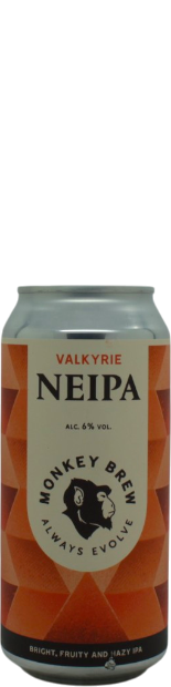  Valkyrie